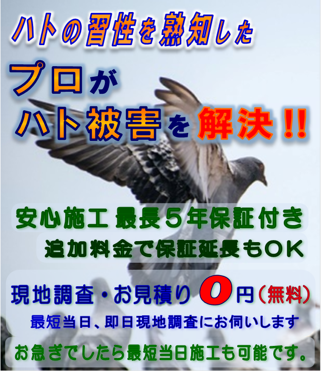 スマホ表示画像